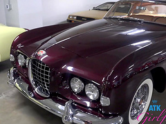 Amazing cutie Gia Dibella is impressed by this car collection