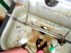Teen Boy cum in a dirty sink
